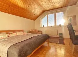 Relax Villa Tatry - Wifi/TV, BBQ, Billiard