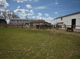 Idylle auf dem Reiterhof bei Husum