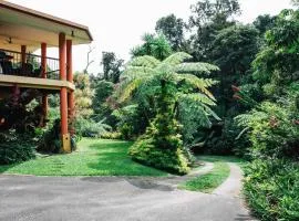 Studio in the Rainforest