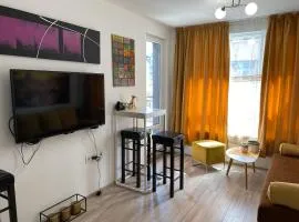 Brand New Cozy 1BR flat with AC & FREE street Parking