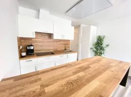 Apartment 3 Sovice