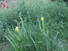 Condrieu et parking voiture vélo 2 ème étage