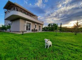 HILLTOP HIDEAWAY, hotel v destinaci Elbasan
