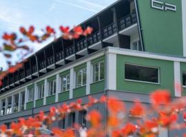 Wellness Hotel GREEN PARADISE, hotel v destinaci Pirkenhammer