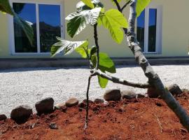 La casa dei fichi, casa vacanze a Porto Azzurro