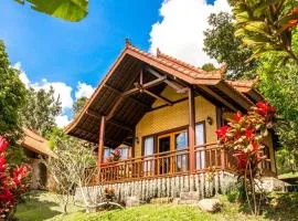 Bali Palms