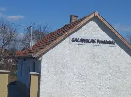 GALAMBLAK Vendégház