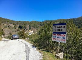 Galini Vines - Authentic Corfu village life WiFi AC, alojamento para férias em Petáleia