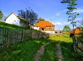 Uvac smestaj Jovanović