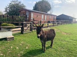 Rew Farm Country and Equestrian Accommodation - Sunset Lodge, pet-friendly hotel in Melksham