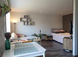 A.H Tammsaare Pärnu Apartment