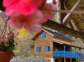 Casa Brună, cabin in Băile Olăneşti