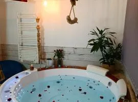 Le Maréchal Duplex - Appartement avec Jacuzzi - CAEN hyper Centre