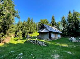 Chalet Bohinj, hotel v Bohinju