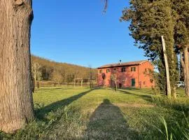 Appartamento TERRACOTTA nel Podere Gretano
