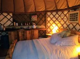 Bembridge Harbour Yurt - Log Burner - WiFi