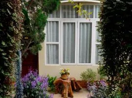 Homestay Vườn Tùng