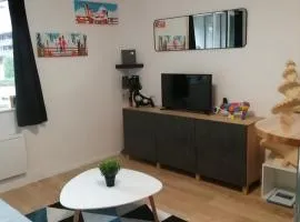 Studio avec balcon et vue sur le Sancy