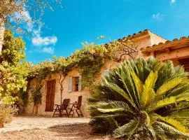 Finca Sa Moleta Nova