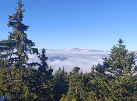 Appartement 2 chambres avec vue au pied des pistes, отель в городе Шанрус