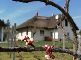 Angelic Cottage and BikePoint (A Birtok - Vendégház és Biciklis bázispont)