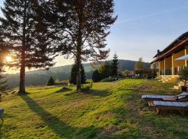 Dreisessel Motel, hotel v destinaci Haidmühle