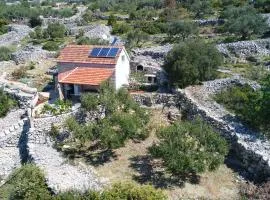 House Astrid