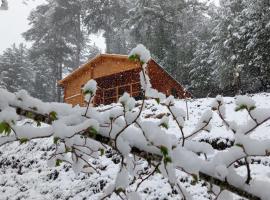 Los mejores campings de Parque Natural de las Sierras de Cazorla, Segura y  Las Villas, España | Booking.com