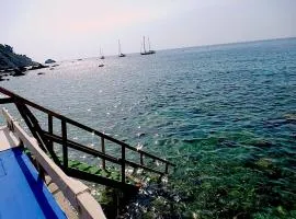BEACH APARTMENT