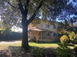 Villa Adriana Tuscia Country Retreat