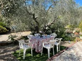 Apartment Olivo - PGI128 by Interhome