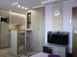 Apartament Mario Skwer Kościuszki