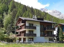 FREE cable car & bus in the summer Haus L'oree