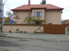 Pogácsás Apartman, appartement à Tokaj