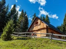 Holiday house Pokljuka - Bohinj