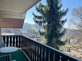 Urlaub im Schwarzwald! GHP440