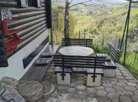 KOZJANSKA KOČA