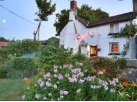 The Northmore Arms