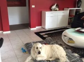 LILLI PILLI SUBLIME Family and Dog Friendly by the Beach