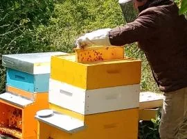 Il Rifugio dell'Ape Agriturismo