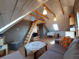 Apartamenty Swojskie Klimaty, hotell i Trześcianka