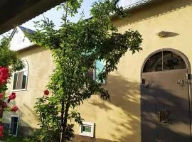 Gabala Rent House