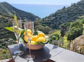 ☆ Terrace & Relax ☆ CASA FRANCESCHIN_ HOMY 5 TERRE, hôtel à Riomaggiore