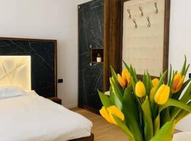 Valea Putnei Residence- Rooms for rent, hotel di Valea Putnei