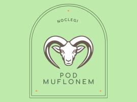 Noclegi Pod Muflonem，瓦烏布日赫的青年旅館