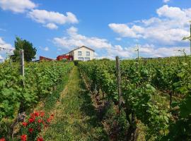 Weinbergshof Rickel, apartament a Kitzingen