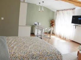 Saint Etienne : appartement Châteaucreux 40 M2