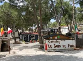 Camping Le Bois De Pins