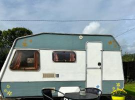 Cosy Caravan at Carrigeen Glamping, glamping site in Kilkenny