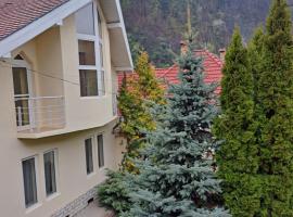 Pensiunea Irina, vacation rental in Tilişca